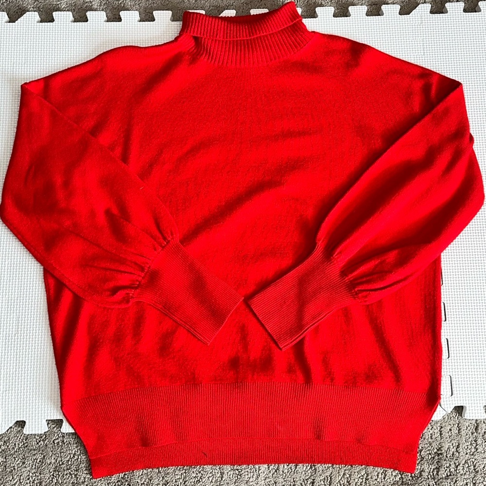 Red Turtleneck Sweater